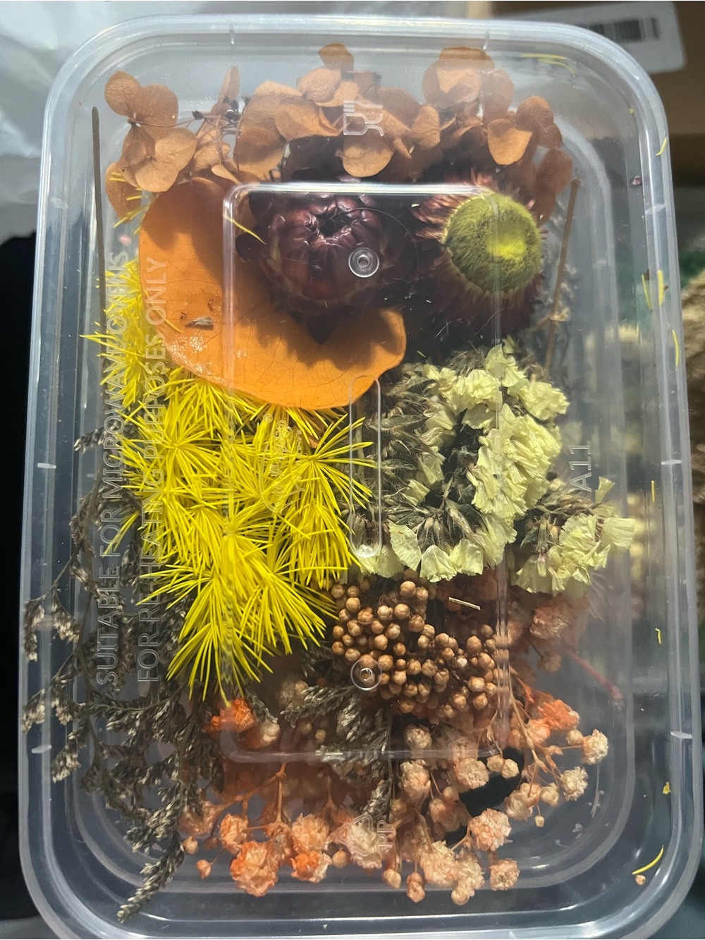 Preserved Dried Flowers & Botanicals for Resin Crafts – Mixed Colors